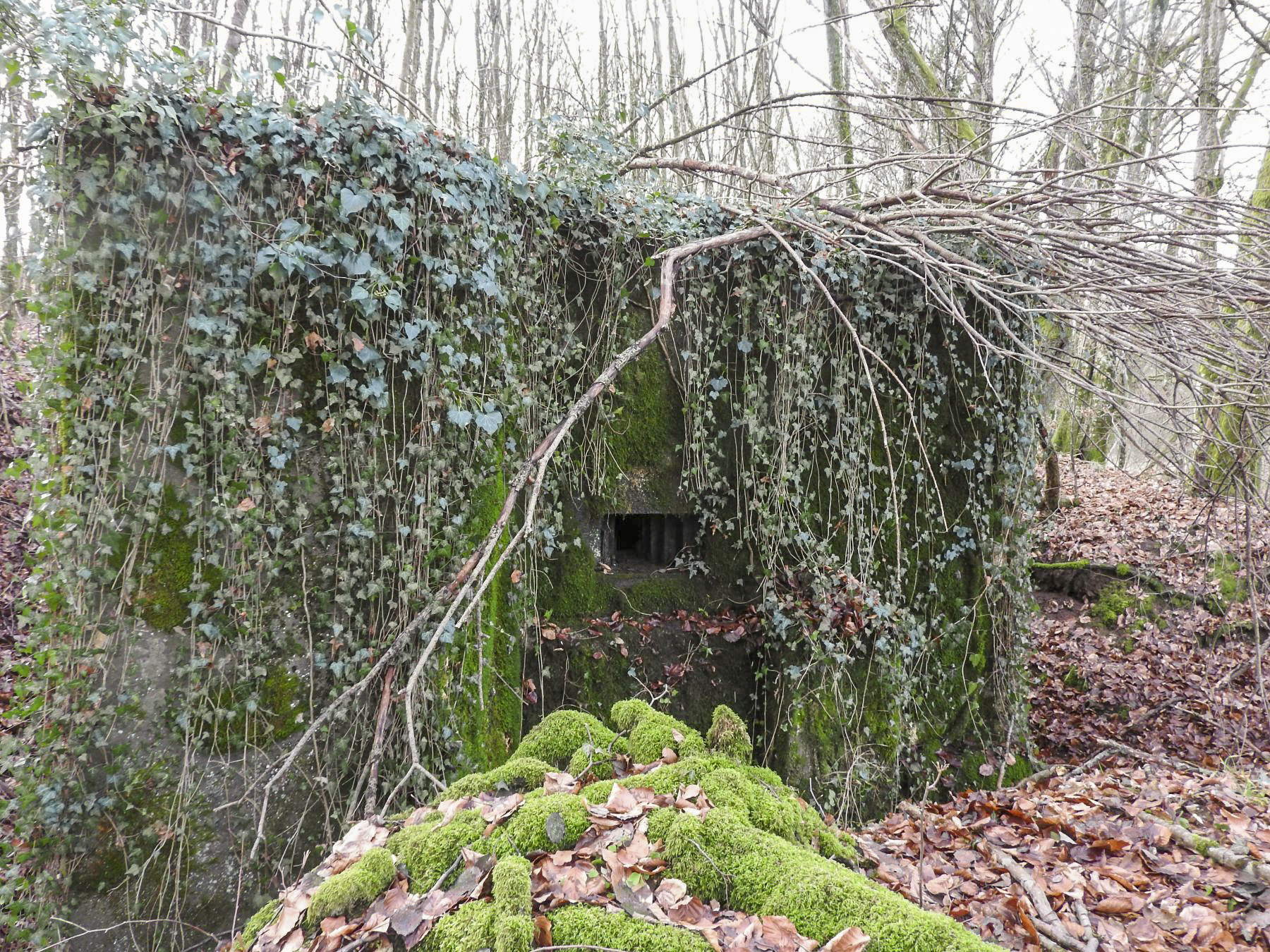 Ligne Maginot - BB312 - (Blockhaus pour arme infanterie) - La façade de tir vers le nord-est. - STENGER Mathieu