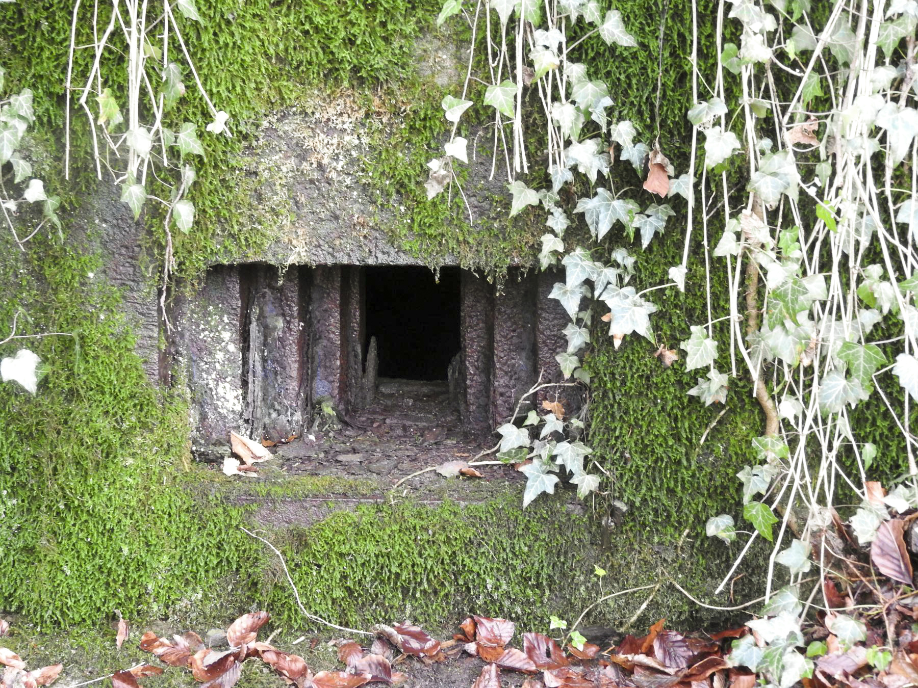 Ligne Maginot - BB312 - (Blockhaus pour arme infanterie) - L'embrasure pour mitrailleuse. - STENGER Mathieu