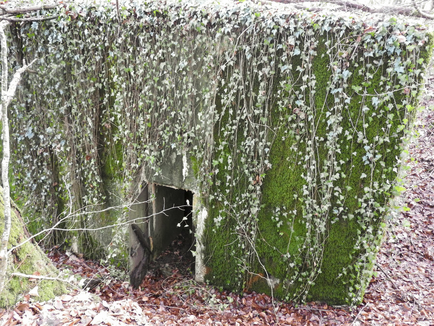 Ligne Maginot - BB312 - (Blockhaus pour arme infanterie) - L'entrée du blockhaus. - STENGER Mathieu