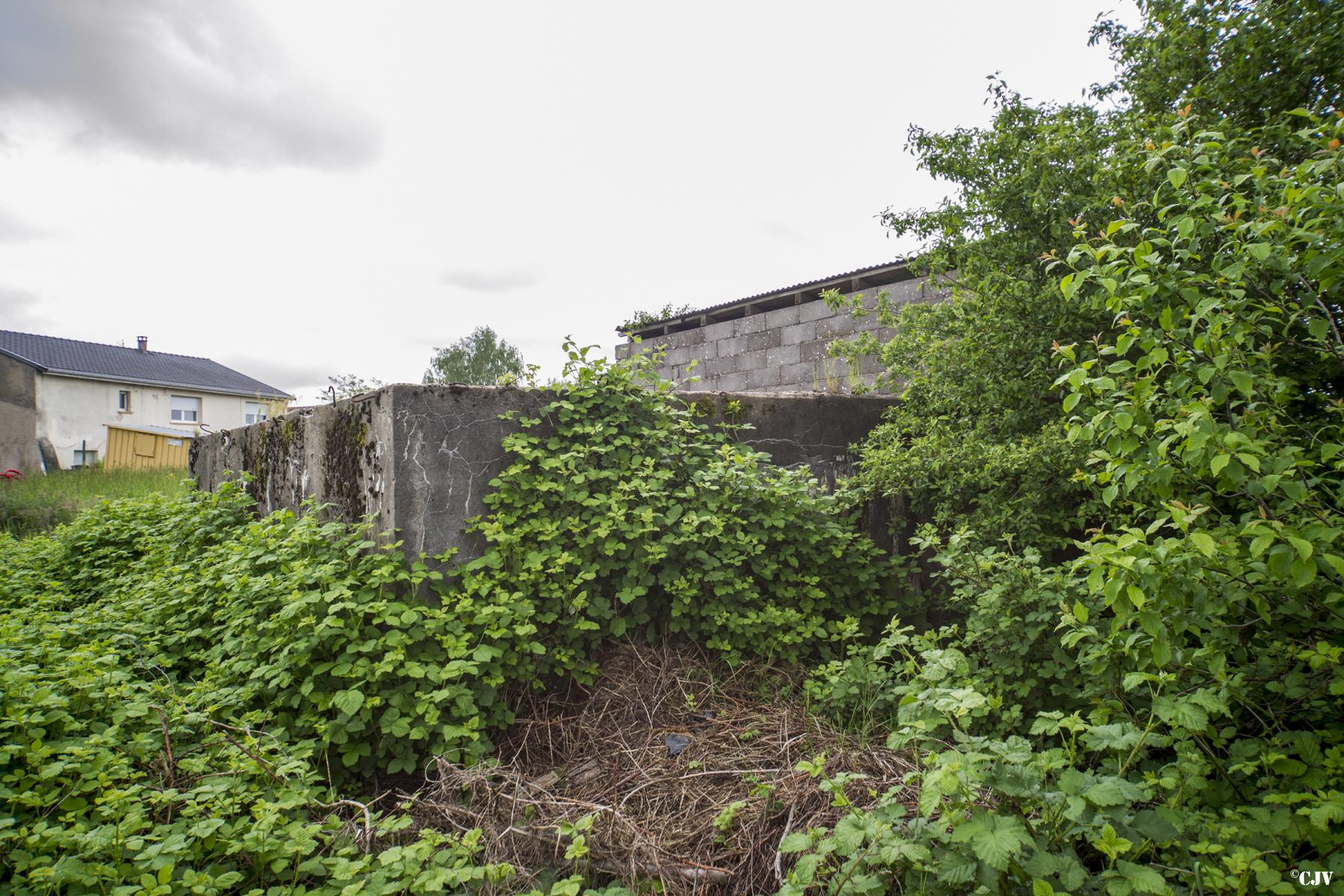 Ligne Maginot - BB345 - EBERSVILLER NORD - (Blockhaus pour canon) - 