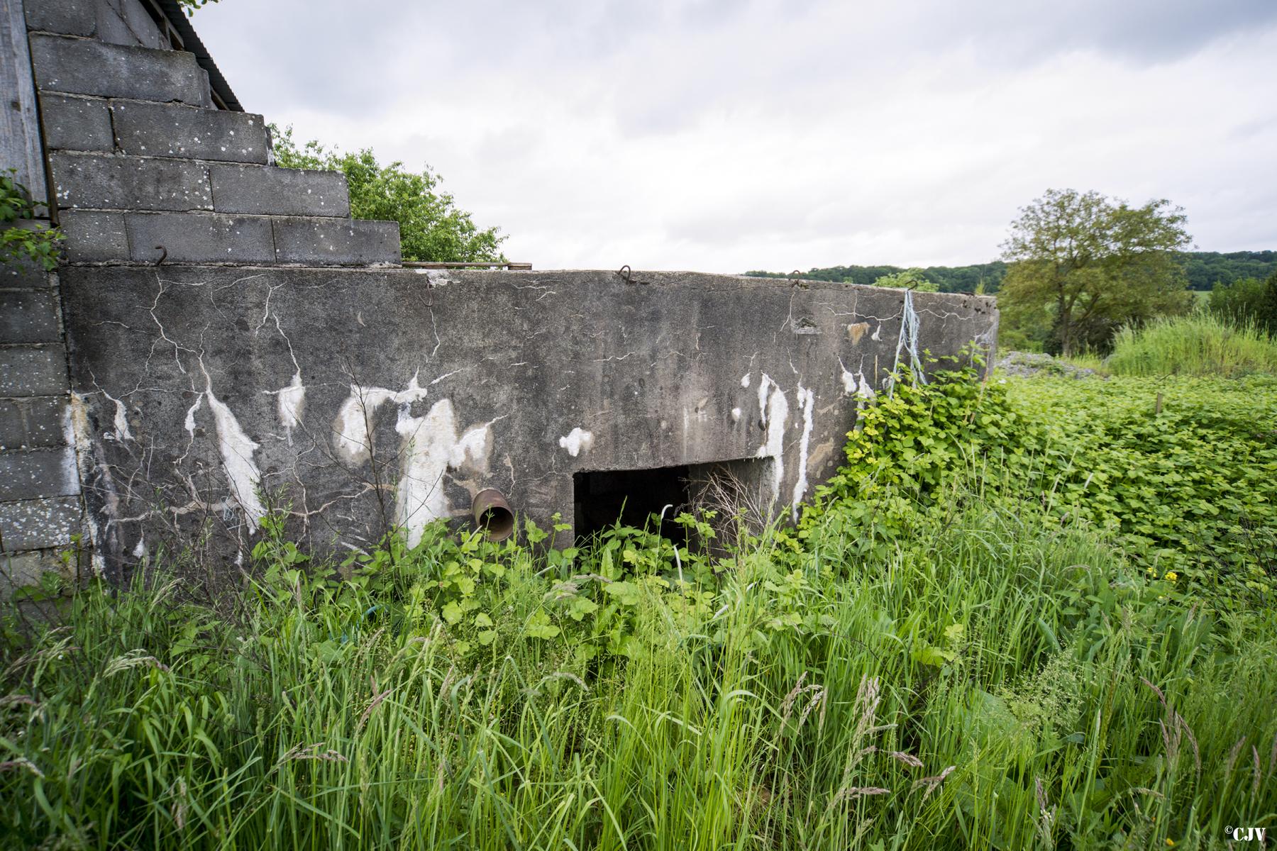 Ligne Maginot - BB345 - EBERSVILLER NORD - (Blockhaus pour canon) - L'entrée