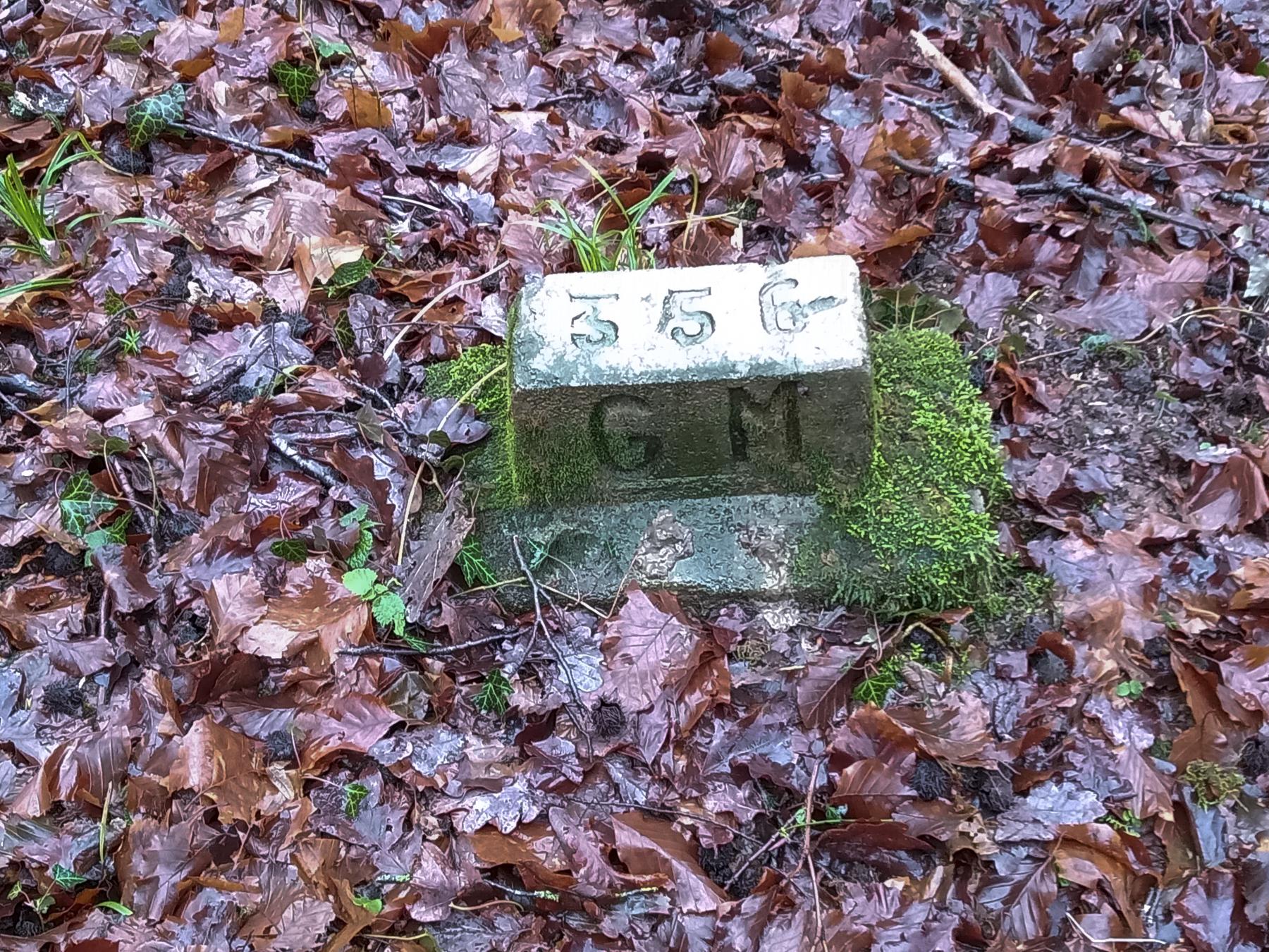 Ligne Maginot - 27LBIS - (Chambre de coupure) - Tout proche - Marc Fossoul