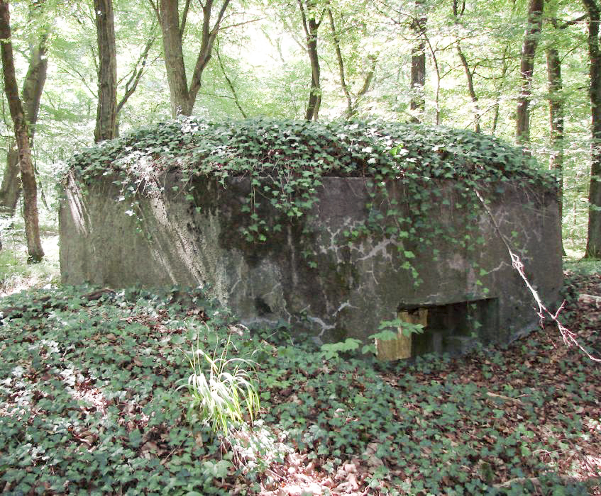 Ligne Maginot - BBO5 - BISCHENKLOPP - (Blockhaus pour canon) - 