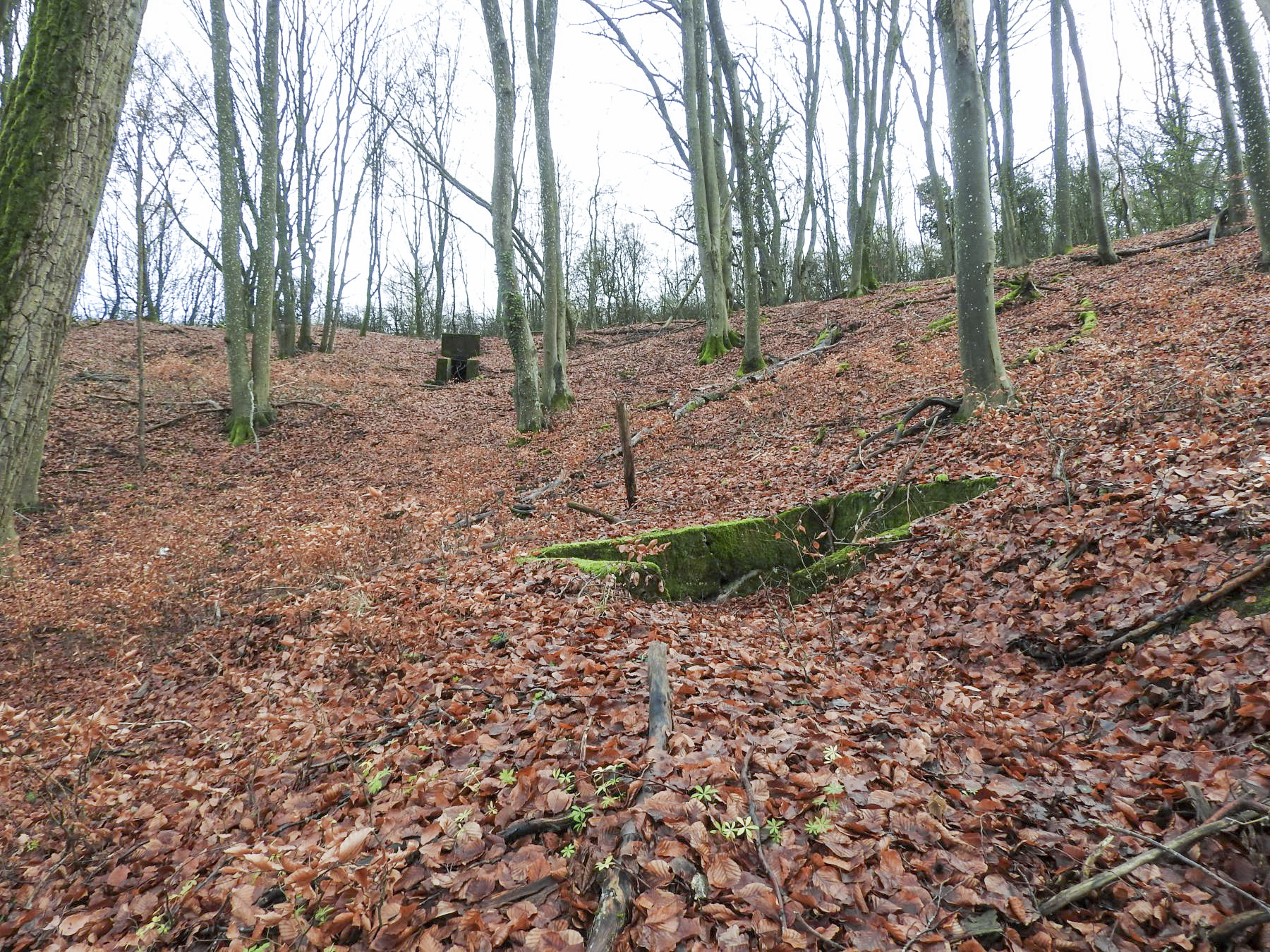 Ligne Maginot - BOIS DE KLANG (CM9 - III/164° RIF) - (PC de Sous-Quartier) - Une vue d'ensemble depuis le sud. - STENGER Mathieu