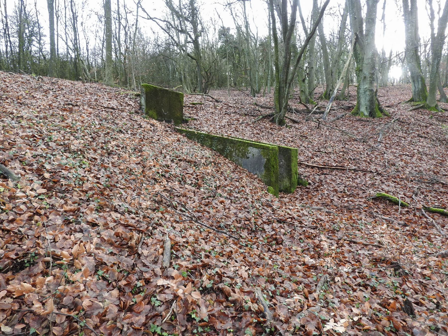 Ligne Maginot - BOIS DE KLANG (CM9 - III/164° RIF) - (PC de Sous-Quartier) - L'entrée du PC. - STENGER Mathieu