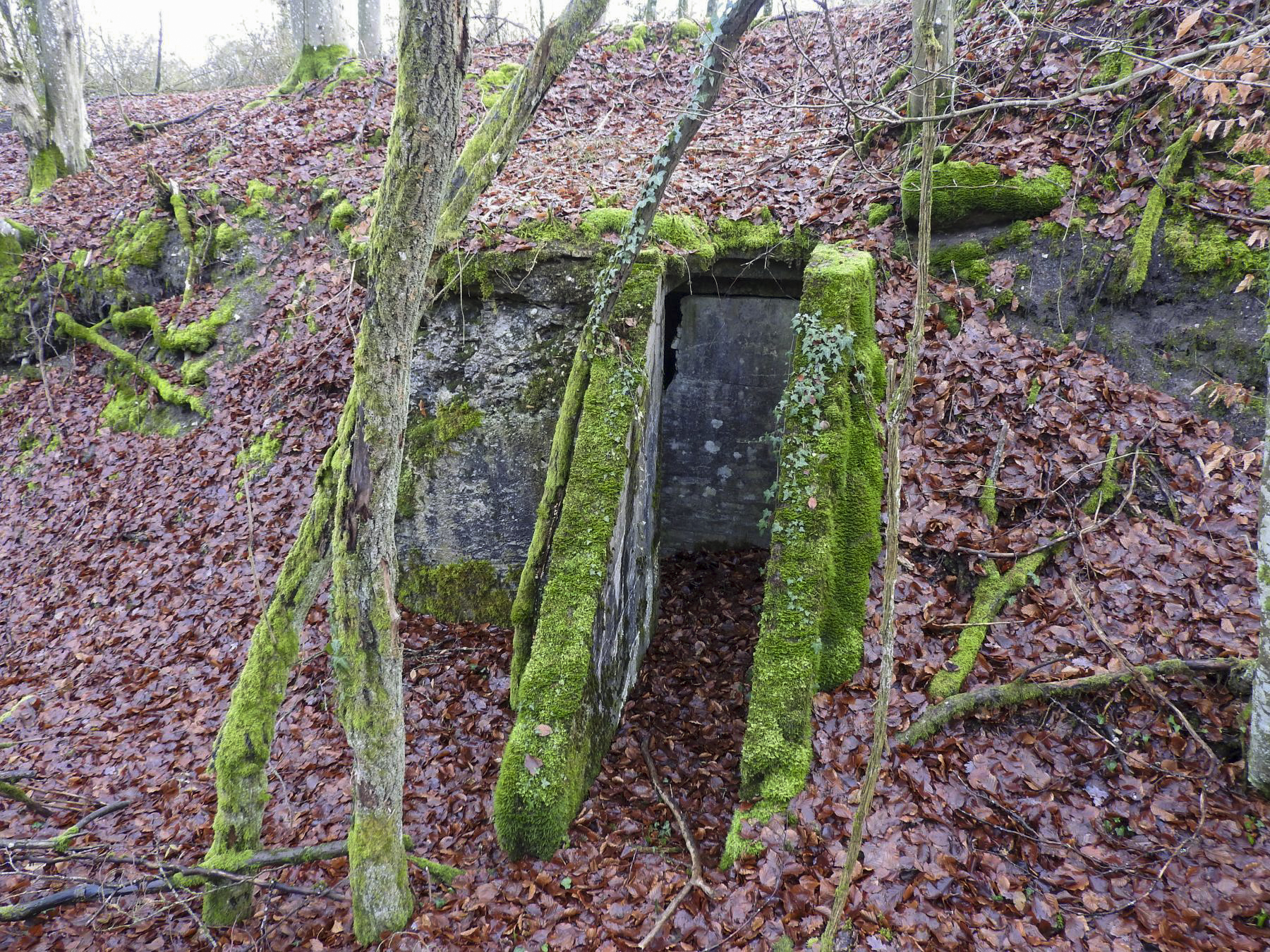 Ligne Maginot - BOIS DE KLANG NORD 5 - (Abri) - L'entrée de l'abri bétonné. - STENGER Mathieu