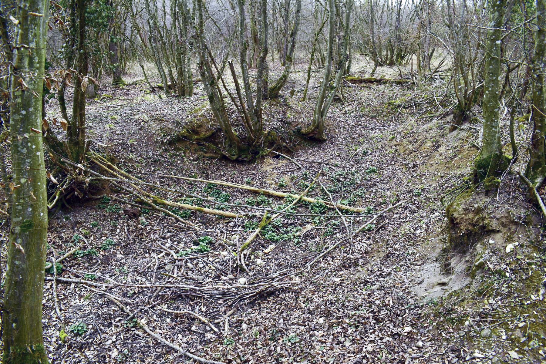 Ligne Maginot - HARDTWALD 3 - (Position d'artillerie préparée) - Position de batterie - D.Froehly