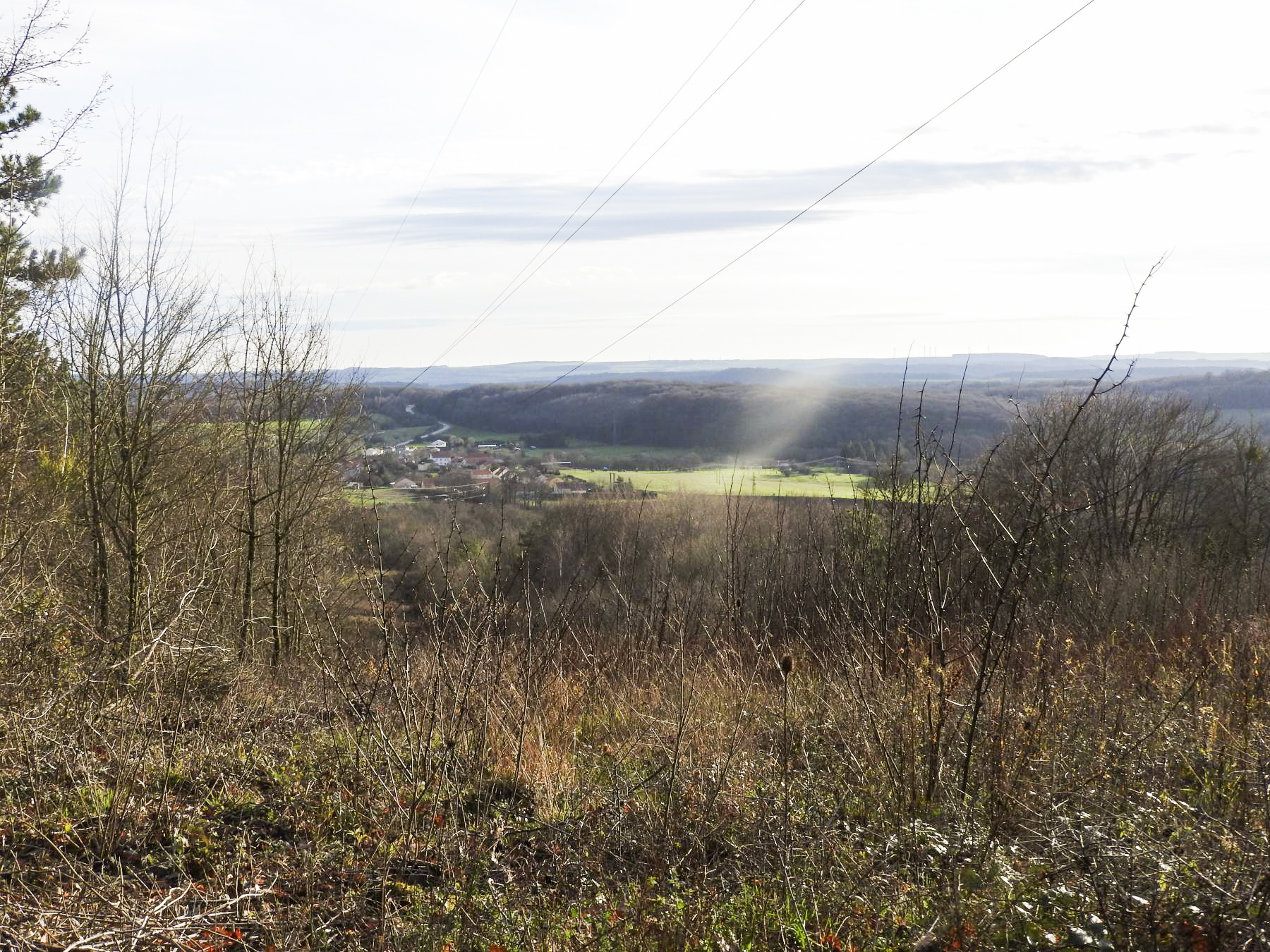 Ligne Maginot - HOUVE - (Observatoire d'artillerie) - La vue depuis l'observatoire. - STENGER Mathieu