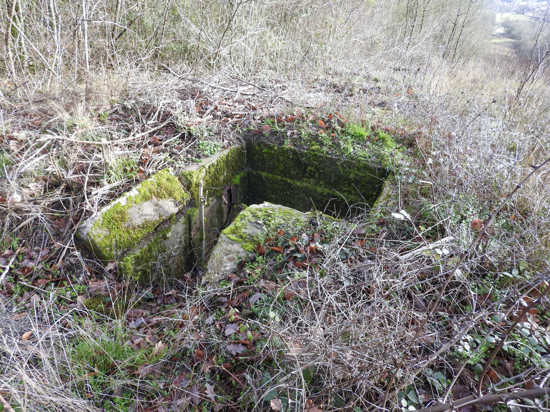 Ligne Maginot - HOUVE - (Observatoire d'artillerie) - Ce qu'il reste en 2022 de la guérite. - STENGER Mathieu