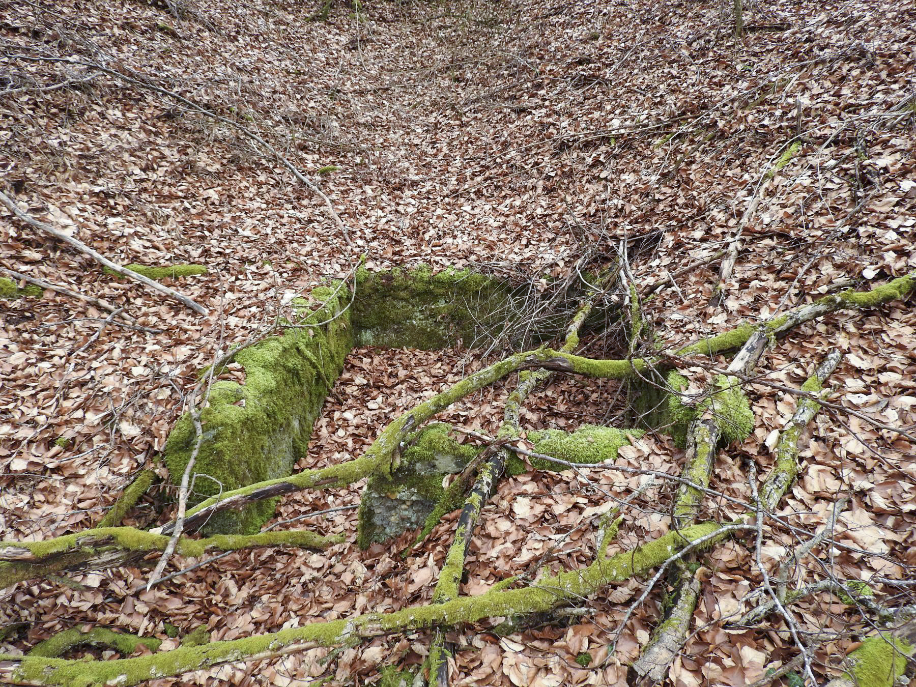 Ligne Maginot - HOUVE 2 - (Abri) - Une petite cuve juste à côté. - STENGER Mathieu