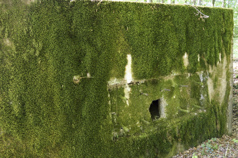 Ligne Maginot - HUBERBUSCH 3 - (Blockhaus pour arme infanterie) - 