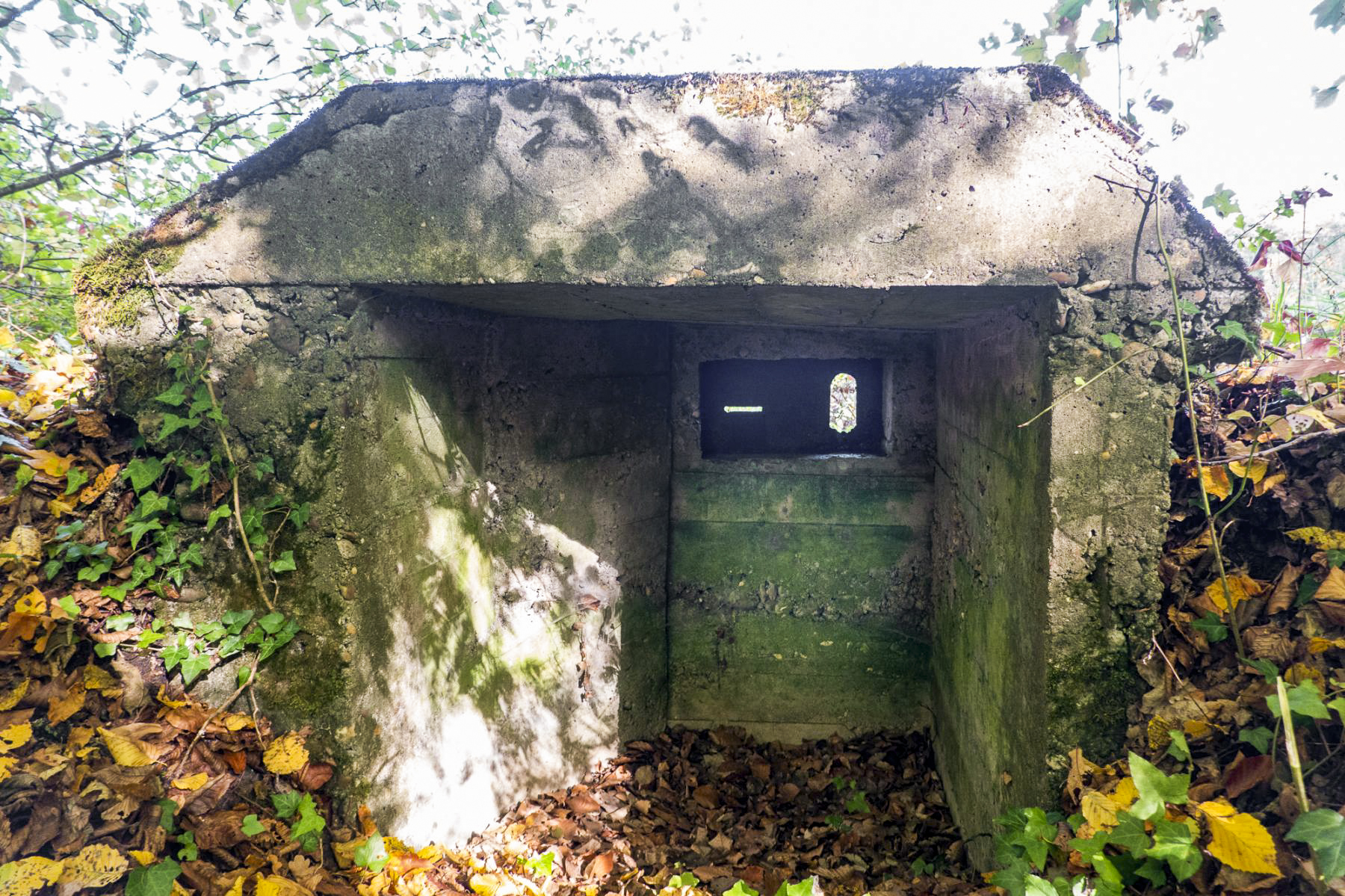 Ligne Maginot - HUBERBUSCH 4 - (Blockhaus pour arme infanterie) -  - Michel Teiten