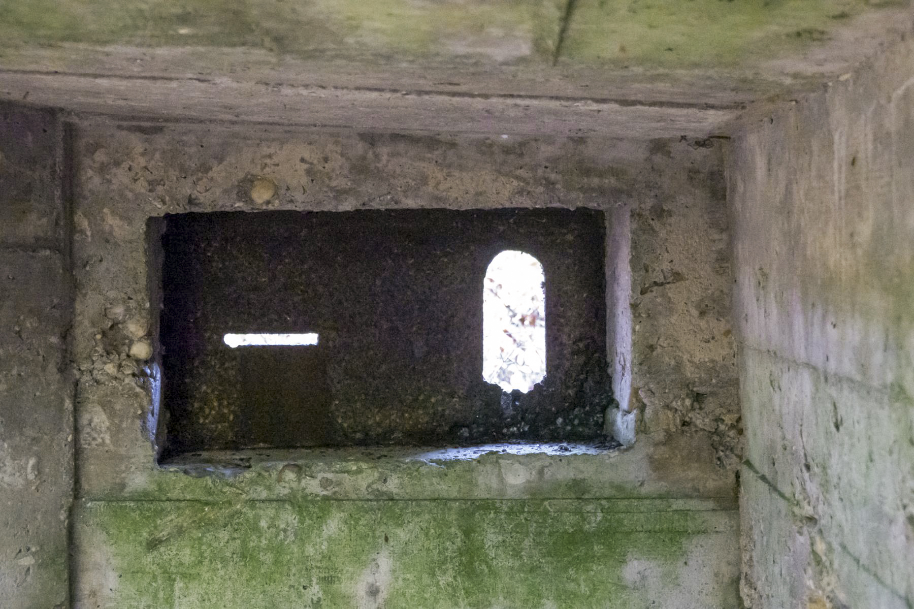 Ligne Maginot - HUBERBUSCH 4 - (Blockhaus pour arme infanterie) -  - Michel Teiten