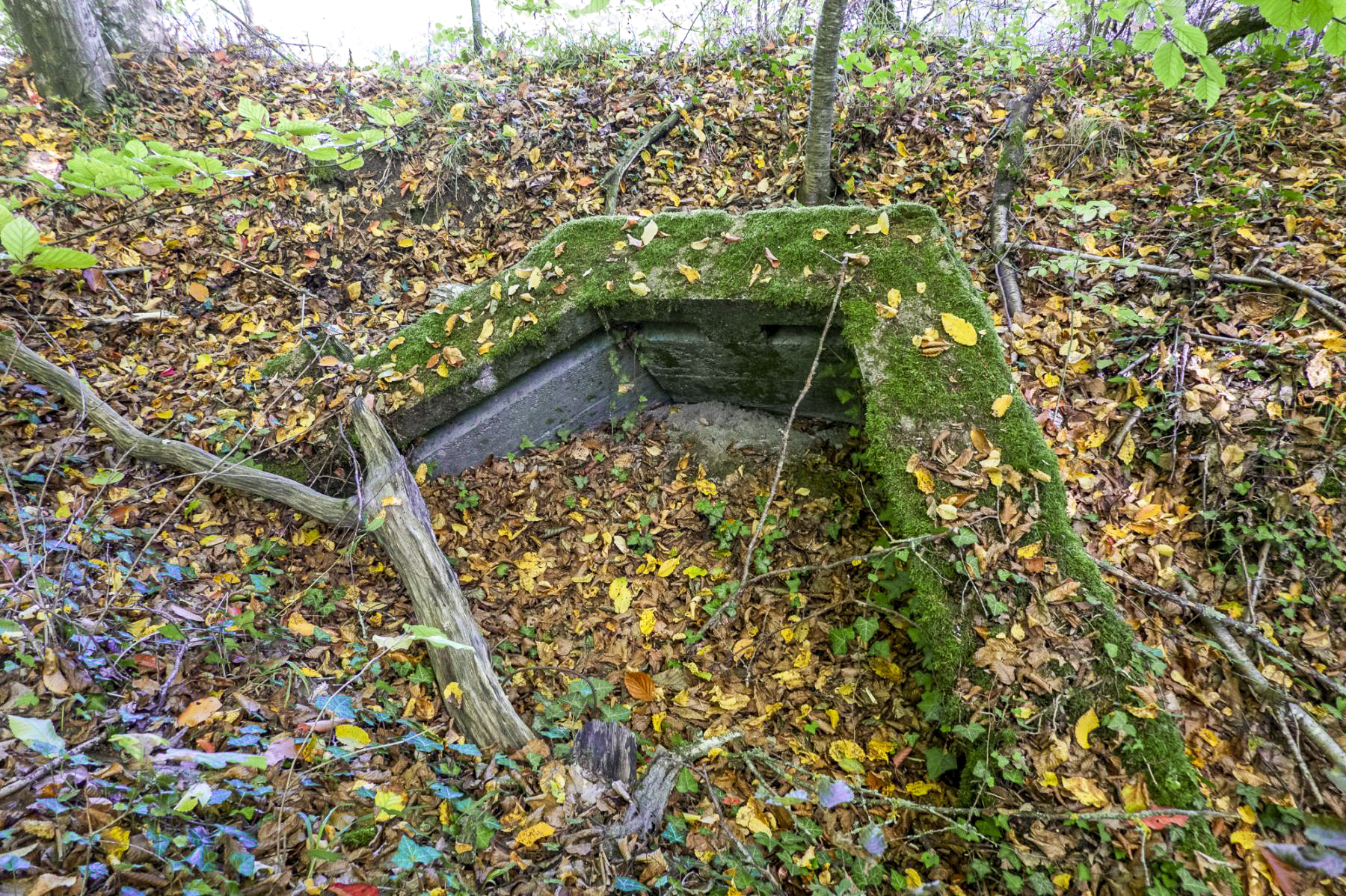 Ligne Maginot - HUBERBUSCH 5 - (Blockhaus pour canon) -  - Michel Teiten