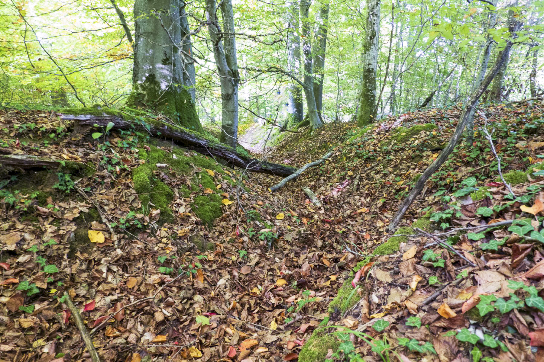 Ligne Maginot - HUBERBUSCH 5 - (Blockhaus pour canon) - Tranchée d'accès - Michel Teiten