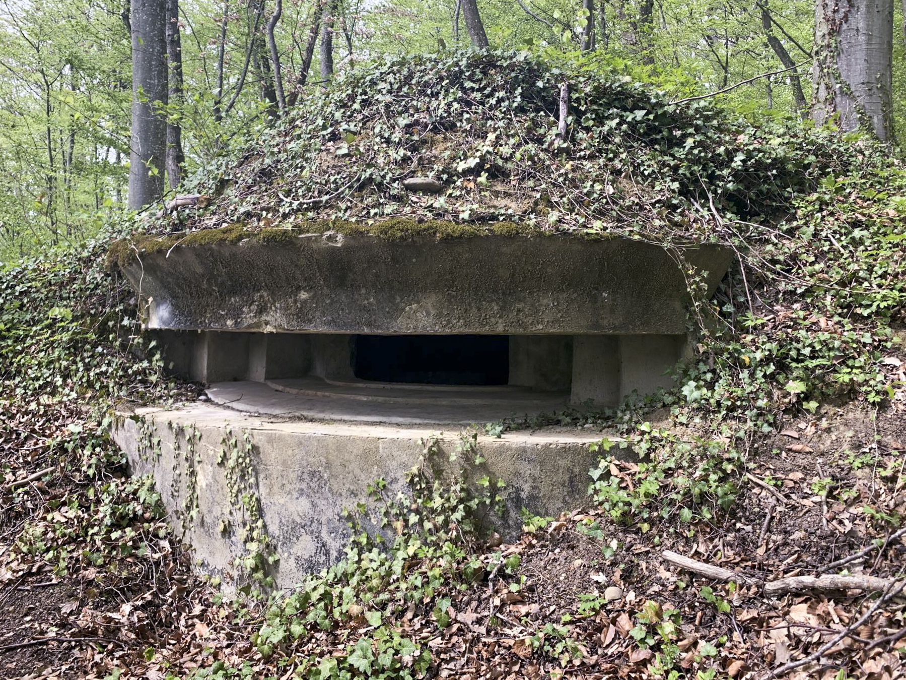 Ligne Maginot - KNOERINGUE EST - (Blockhaus pour arme infanterie) -  - Mokry laurent