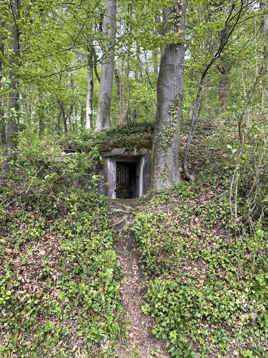 Ligne Maginot - KNOERINGUE EST - (Blockhaus pour arme infanterie) - Vue du chemin - Mokry laurent