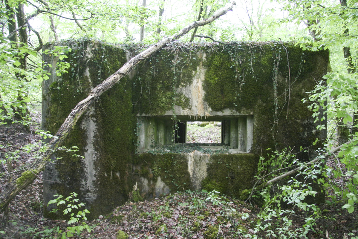 Ligne Maginot - KARPENLOCH - (Blockhaus pour canon) -  - Alain Perouffe