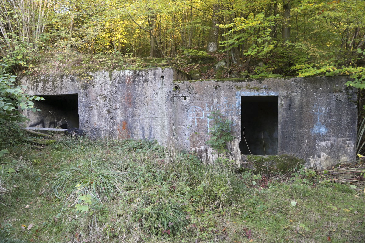 Ligne Maginot - KEDANGE SUR CANNER - (Poste de Secours) - Vue des entrées (avec salles de tri ?) - Alain Perouffe