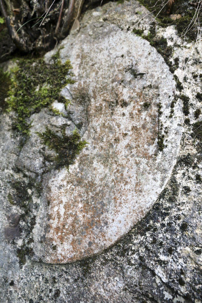 Ligne Maginot - KEDANGE SUR CANNER - (Poste de Secours) - Restes de la Croix Rouge - Alain Perouffe