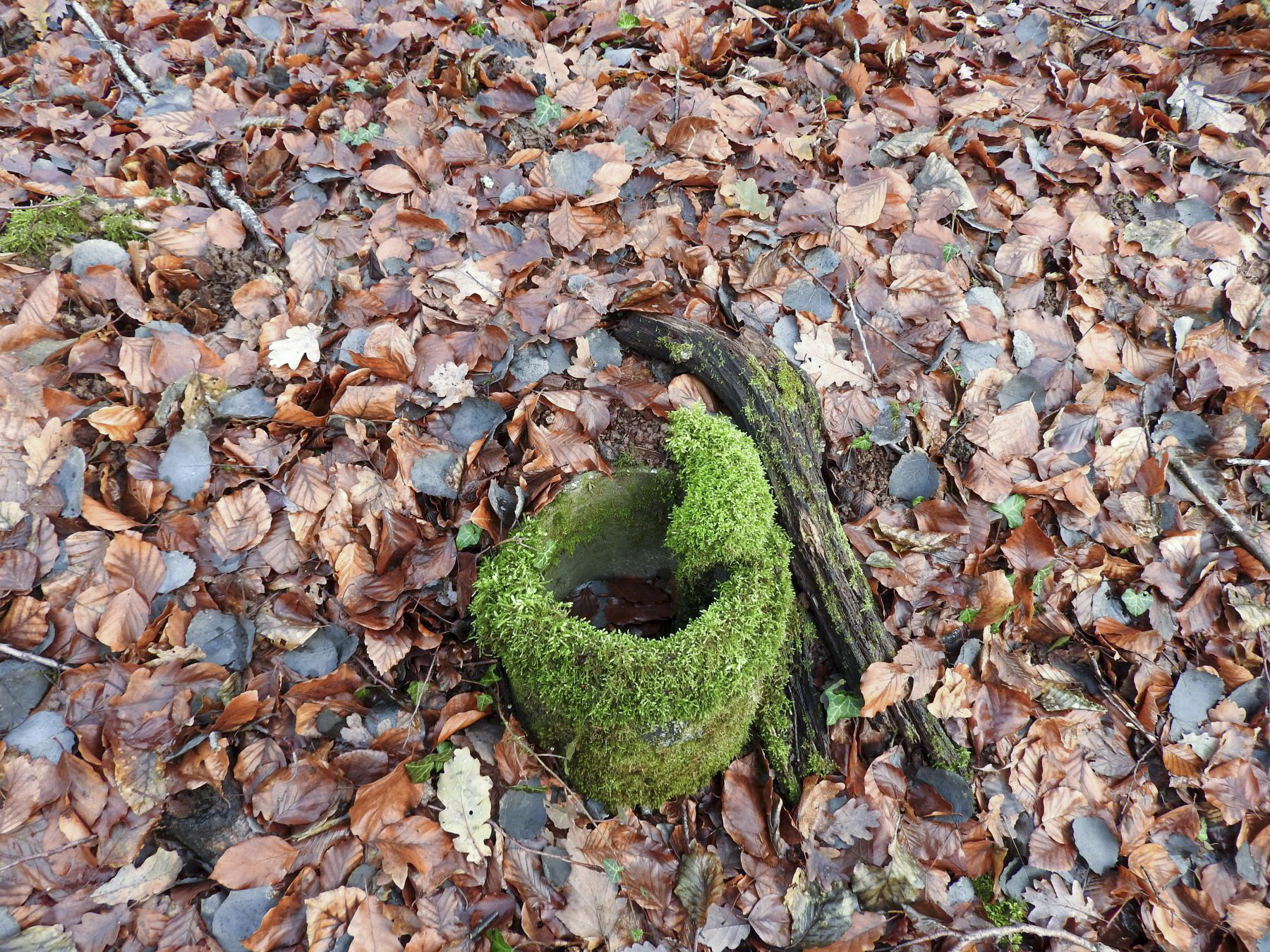 Ligne Maginot - SCHESSEL 3 - (Abri) -  - STENGER Mathieu