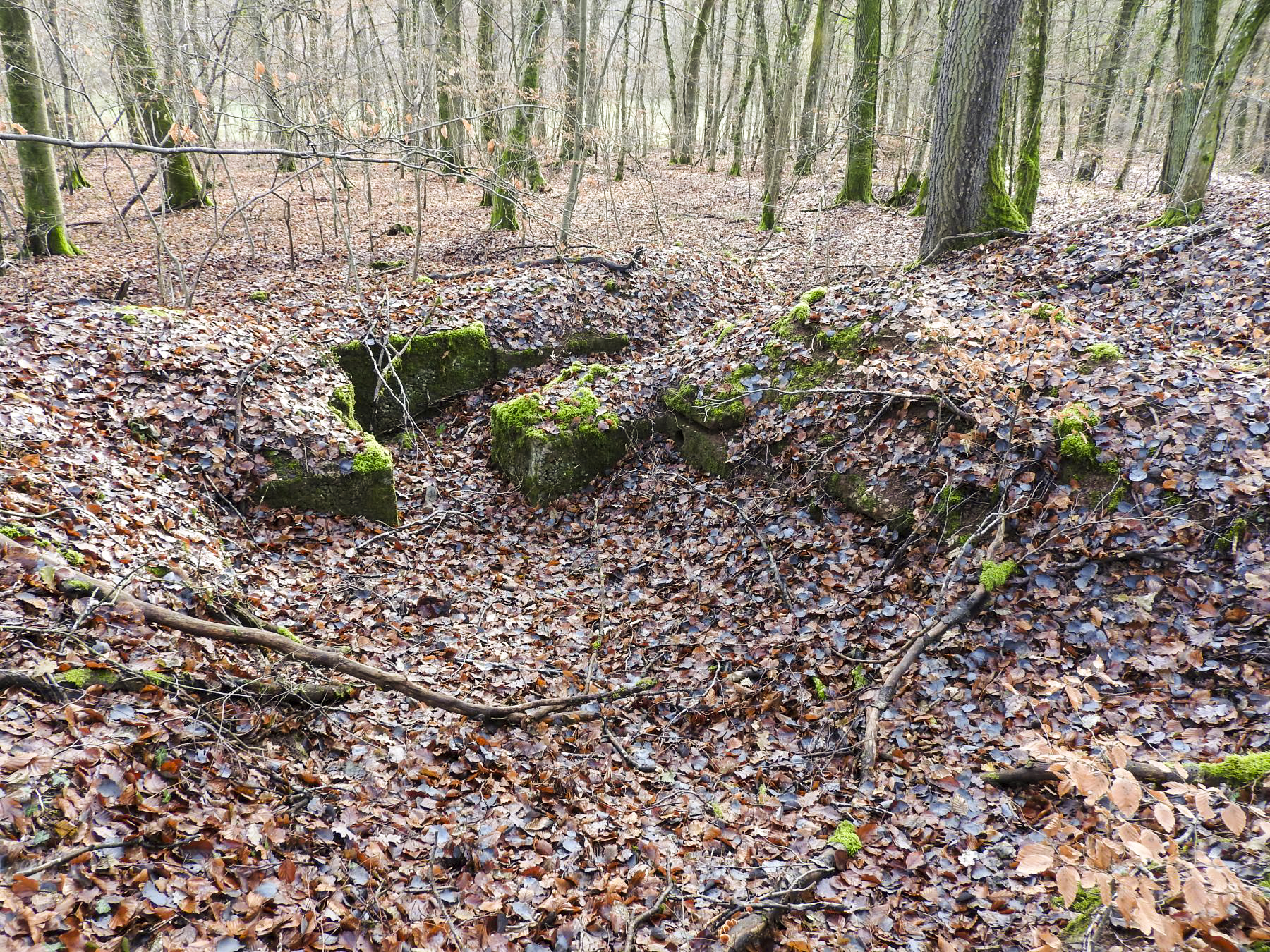 Ligne Maginot - SCHESSEL 3 - (Abri) -  - STENGER Mathieu