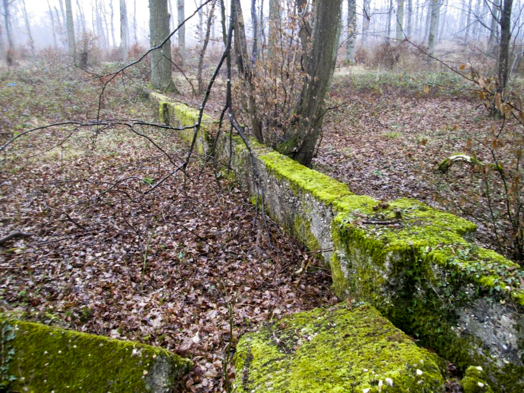 Ligne Maginot - STOLBUESCH - (Dépôt du Génie) - 