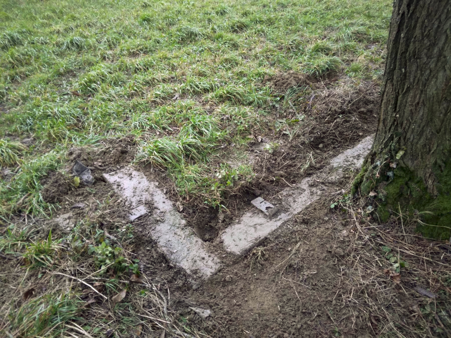 Ligne Maginot - TROIS-MAISONS CENTRE 3 - (Cuve pour arme d'infanterie) - L'emplacement de tourelle existe toujours (en partie détruit ) en bordure de champ - David ORY
