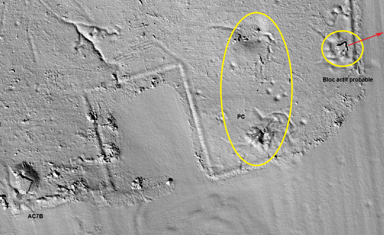 Ligne Maginot - NONNENWALD Sud - Vue LIDAR des organisations du sud du bois de Nonnenwald - Jean-Michel Jolas