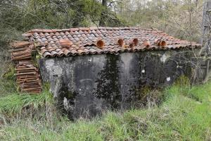 Ligne Maginot - BB6-B - GEISMUHL 1 - (Blockhaus pour arme infanterie) - Façade de l'entrée
