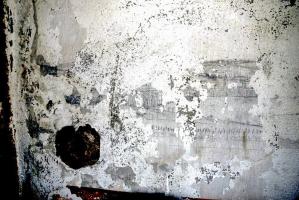 Ligne Maginot - BERENBACH - A26 - (Ouvrage d'infanterie) - Chambre de tir.
Les restes du panorama
