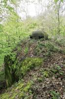 Ligne Maginot - BERENBACH - A26 - (Ouvrage d'infanterie) - Bloc 1
Cloche GFM