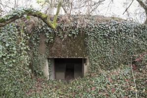 Ligne Maginot - BB212 - GALBERG EST - (Blockhaus pour canon) - L'entrée du matériel