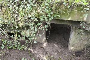 Ligne Maginot - GEISMUHL 3 - (Abri) - L'entrée
