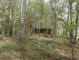 Ligne Maginot - KAISERWALD - (Blockhaus pour canon) - 