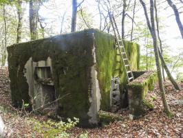 Ligne Maginot - KAISERWALD - (Blockhaus pour canon) - L'arrière du blockhaus avec les deux entrées.