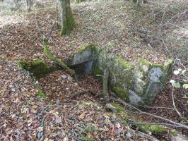 Ligne Maginot - KAISERWALD 2 - (Cuve pour arme d'infanterie) - Les restes de la cuve d'infanterie. On distingue une niche à munitions.