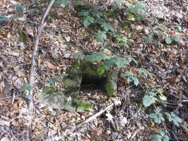 Ligne Maginot - KAISERWALD 2 - (Cuve pour arme d'infanterie) - Peut-être l'emplacement d'un abri.