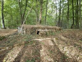 Ligne Maginot - BOIS SACKER - (Abri) - 