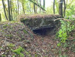 Ligne Maginot - BOIS SACKER - (Abri) - 