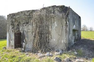 Ligne Maginot - VEILLERBERG - (Blockhaus pour canon) - L'accès pour les hommes du coté droit du blockhaus, la porte est toujours en place