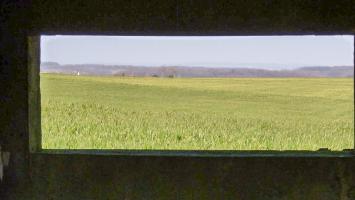 Ligne Maginot - VEILLERBERG - (Blockhaus pour canon) - Le champ de tir vu du créneau