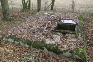 Ligne Maginot - 29A - (Chambre de coupure) - 