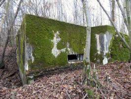 Ligne Maginot - BB130 - BUCHWIESE OUEST - (Blockhaus pour canon) - 