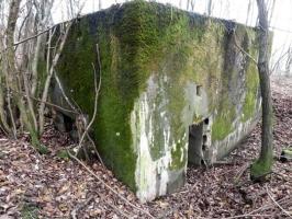 Ligne Maginot - BB130 - BUCHWIESE OUEST - (Blockhaus pour canon) - 