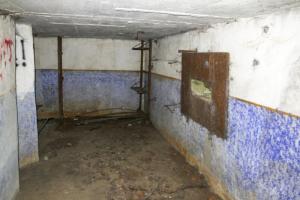 Ligne Maginot - BB3 - BUCHWIESE EST - (Blockhaus pour canon) - 