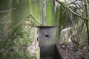 Ligne Maginot - BB33 - HERRENFELD SUD - (Blockhaus pour canon) -       