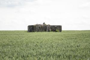 Ligne Maginot - HOCHWAELDEN Est - (Blockhaus pour canon) - 