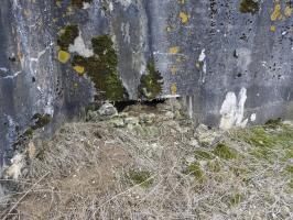 Ligne Maginot - HOCHWAELDEN EST - (Blockhaus pour canon) - L'embrasure remblayée.