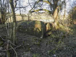 Ligne Maginot - MUEHLENBACH 1 - (Blockhaus pour arme infanterie) - Le blockhaus en lisière de forêt.